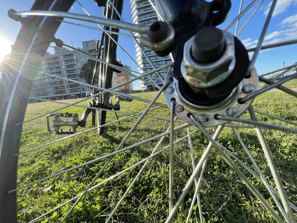 rayos de rueda de bicicleta en un parque al sol